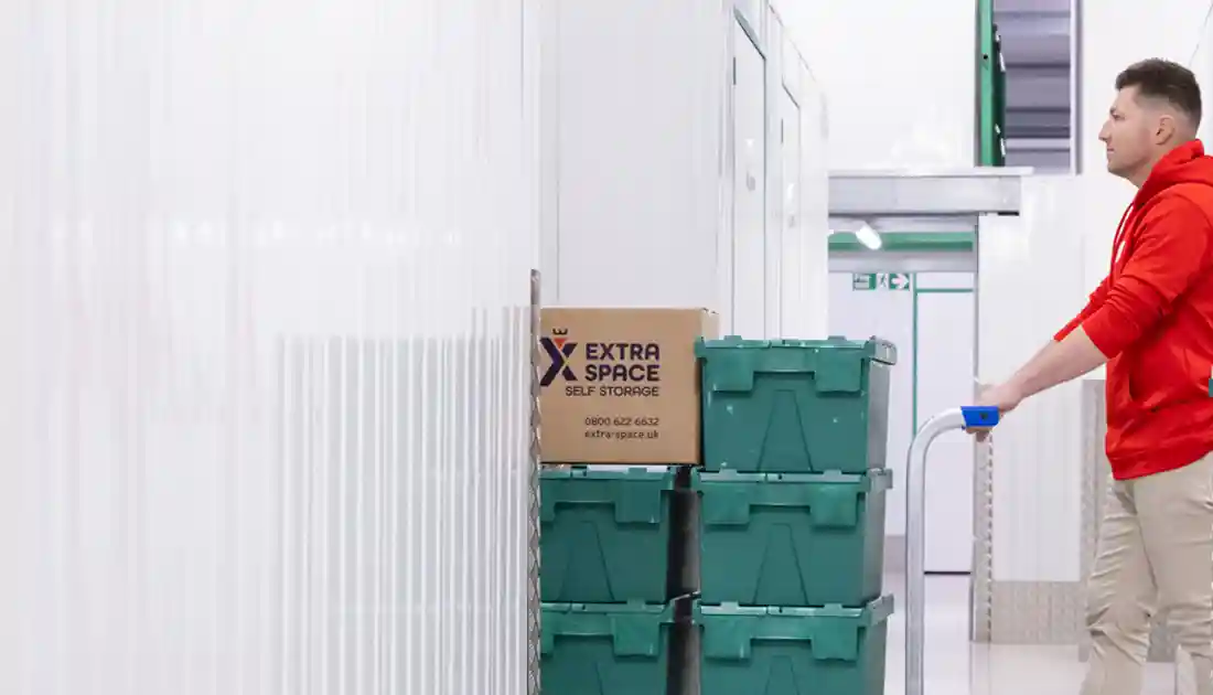Special offer — 50% off first two months and free removals